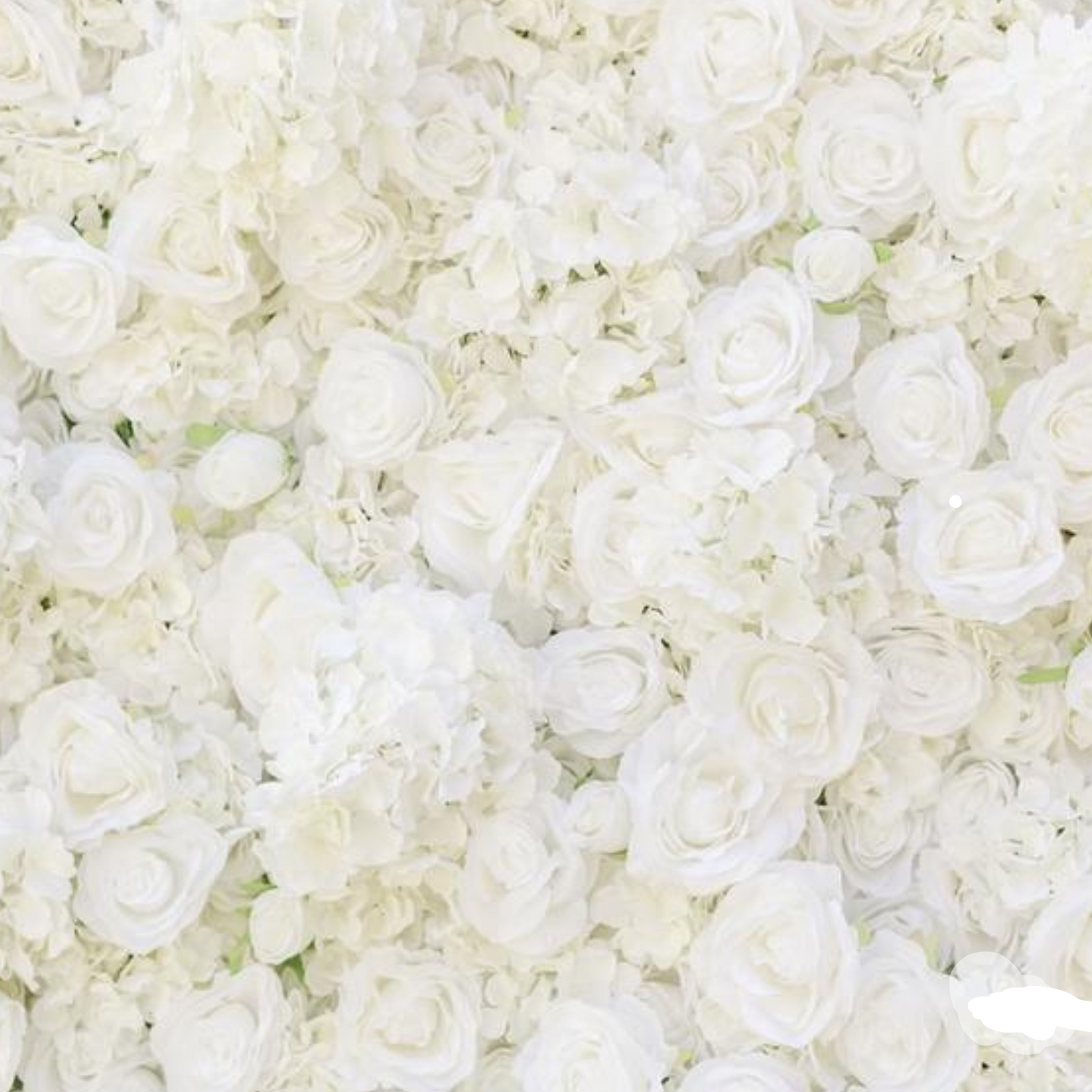 White Flower wall Backdrop