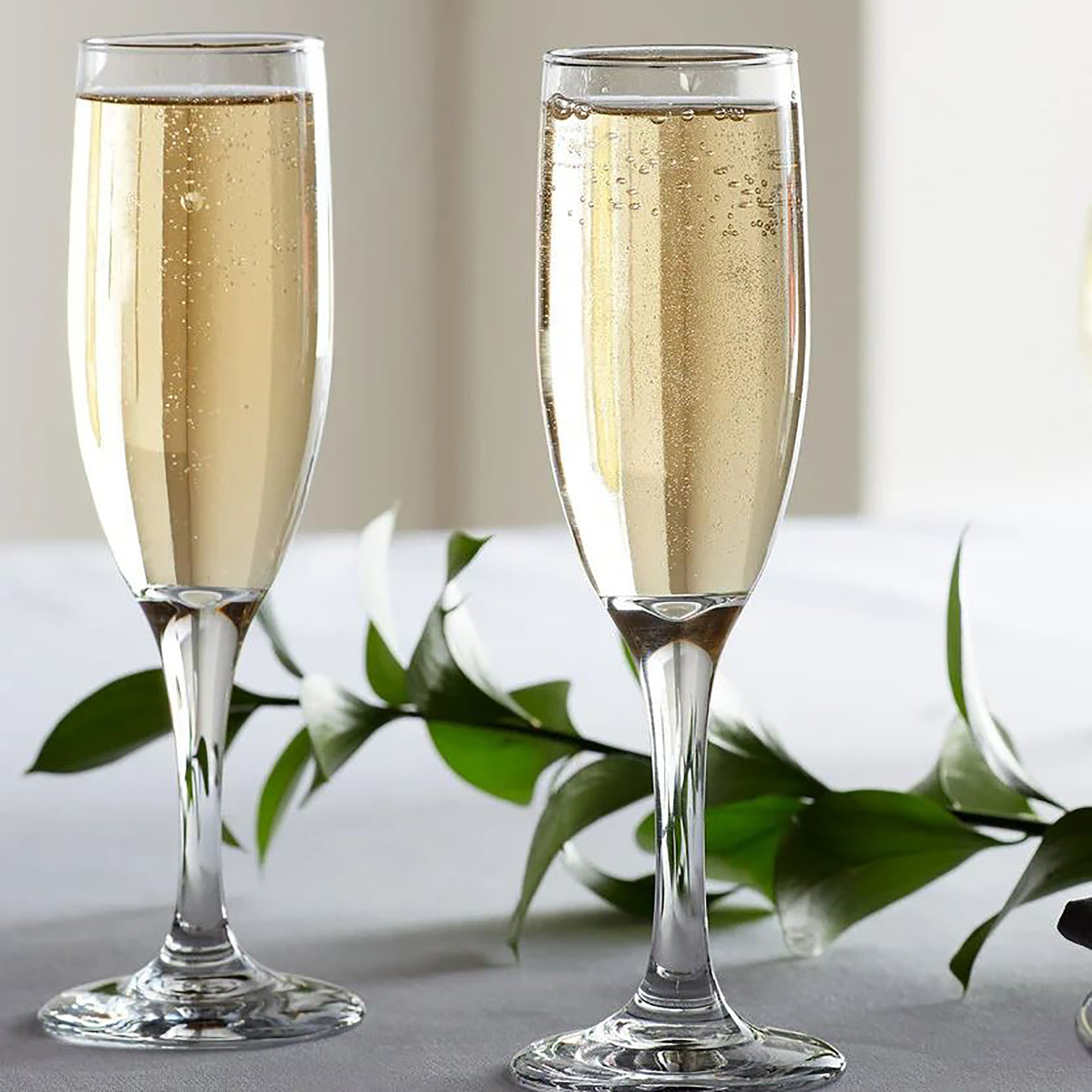 Champaign glass