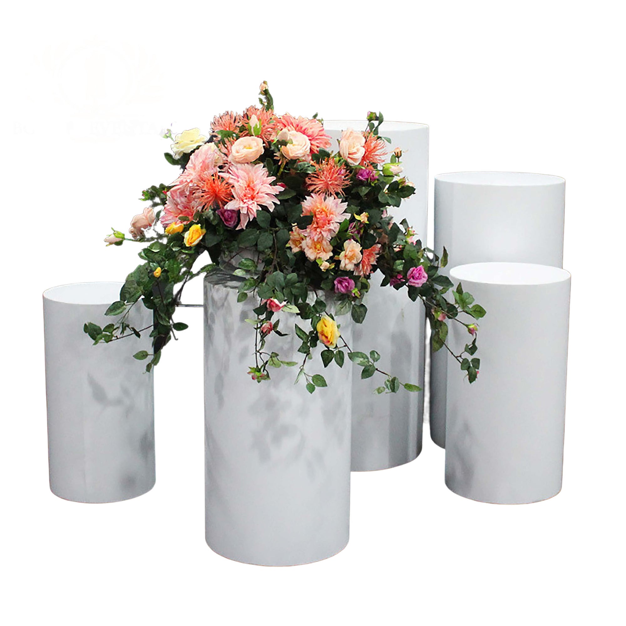 Acrylic cylinder pedestal